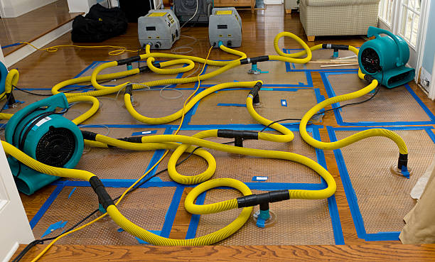 Professional Burst Pipe Water Damage technician working in Baileyville, IL