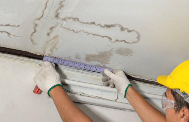 Affordable Burst Pipe Water Damage solutions in Baileyville, IL